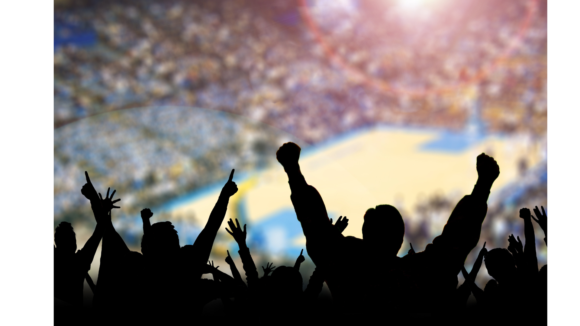 cheering fans in stadium