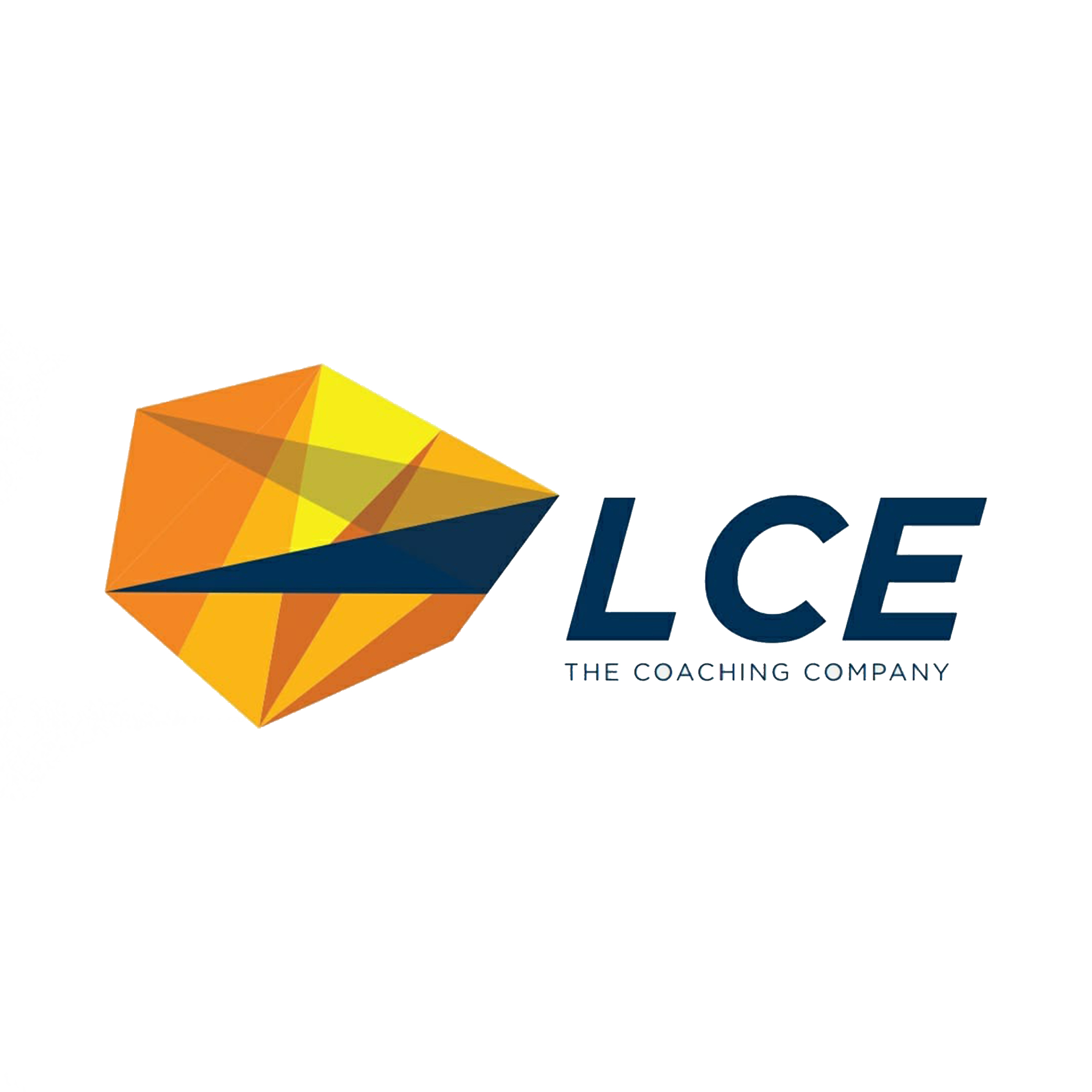 LCE - CEI partners