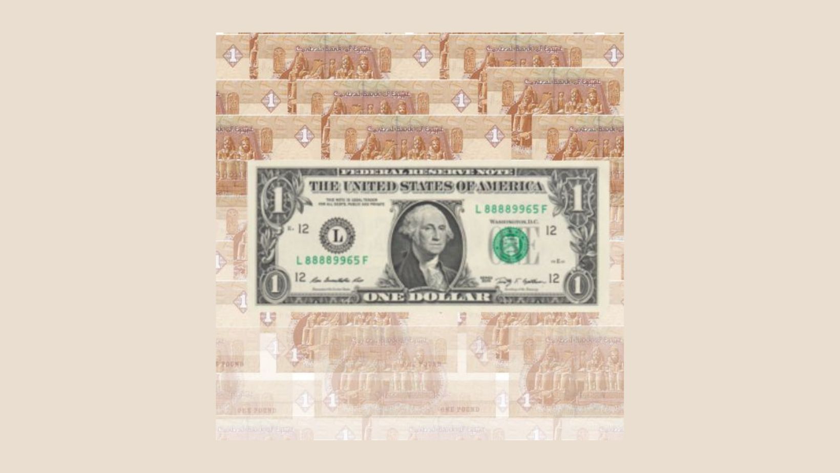 Photo shows multiple fading pictures of the Egyptian pound with a US dollar superimposed