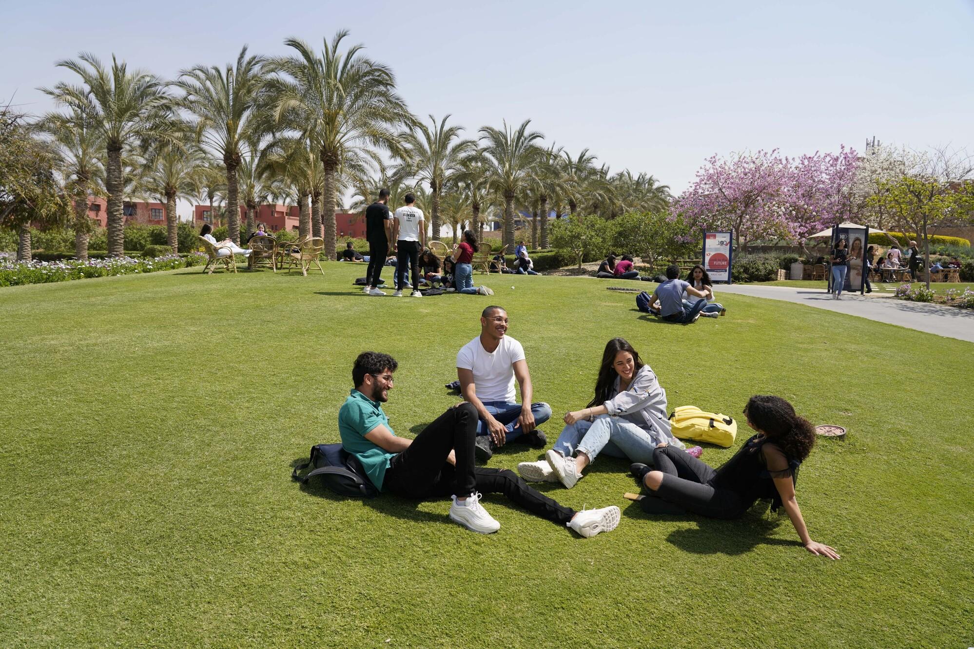 students sitting in the auc gardens talking 