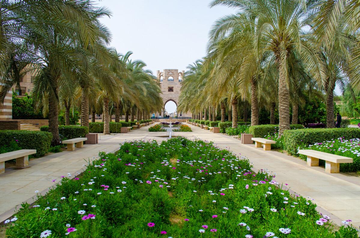 auc new cairo campus main gate and garden