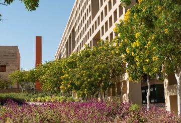 campus