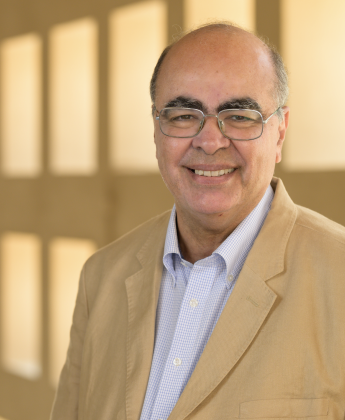 Mohamed Alaa El Hadidy