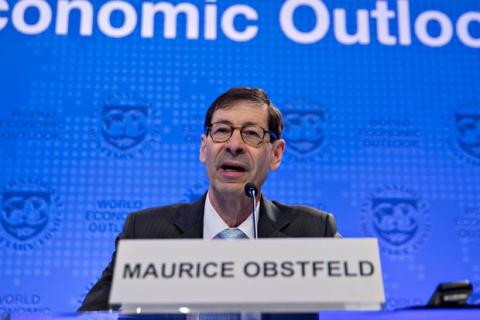 Chief Economist of the IMF Maurice Obstfeld