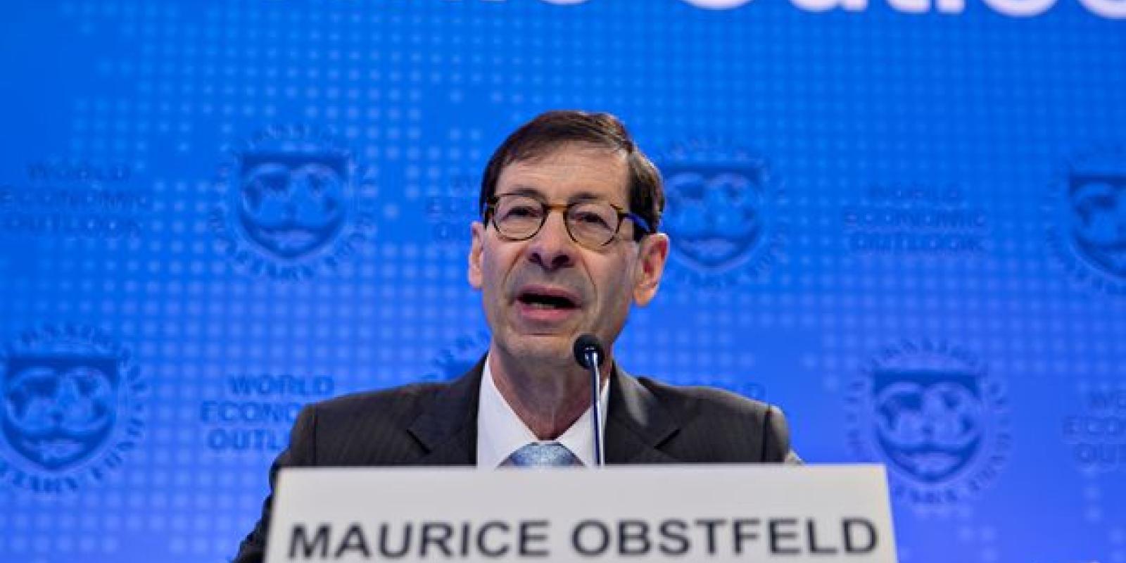 Chief Economist of the IMF Maurice Obstfeld