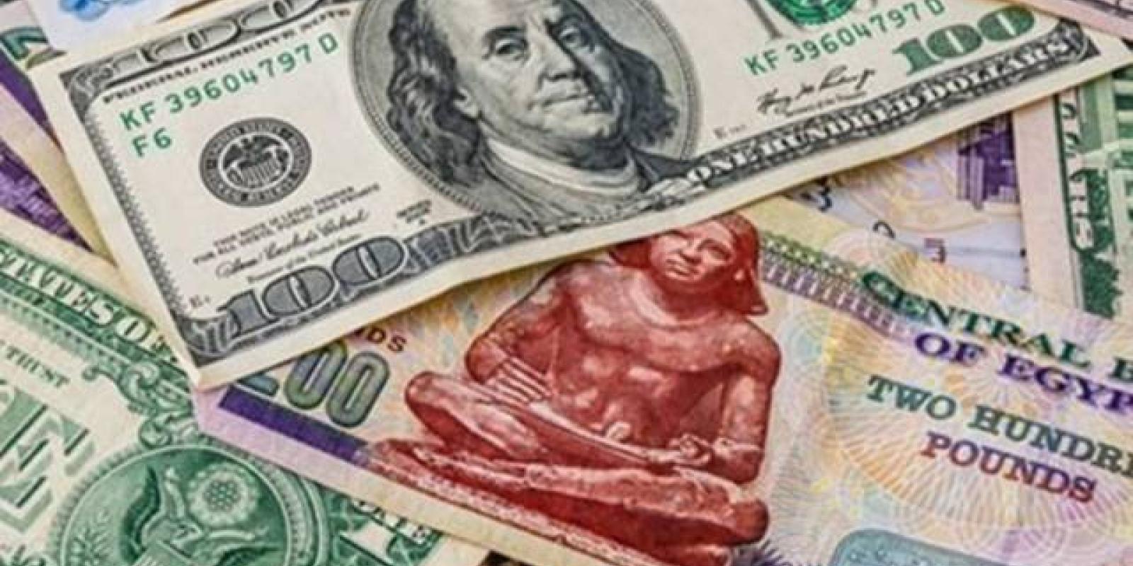 Picture of EGP and USD