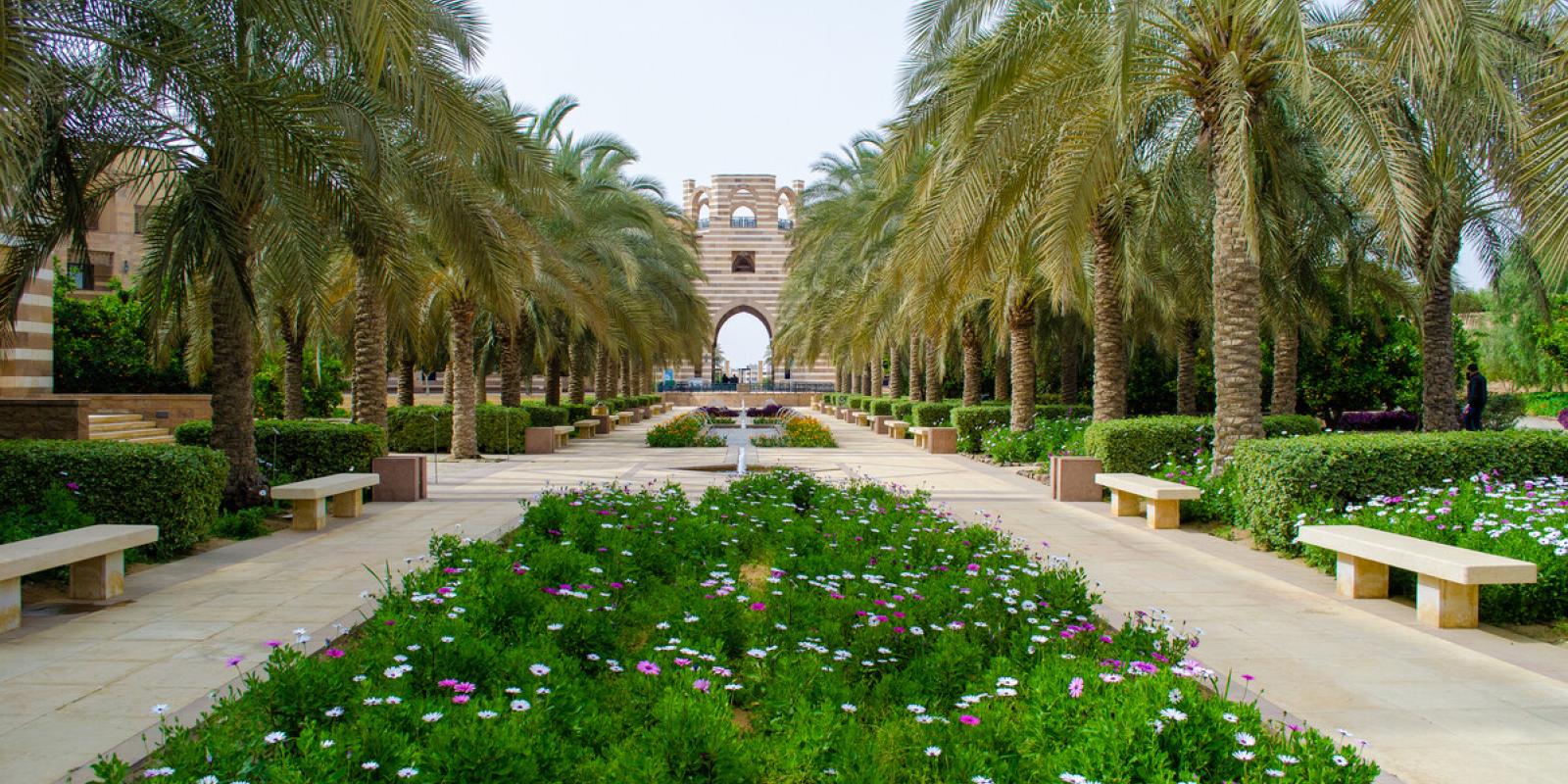 auc new cairo campus main gate and garden