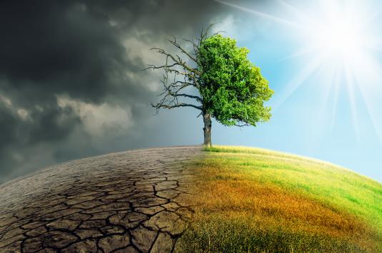 Global Warming
