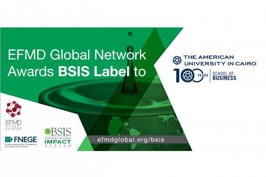 BSIS Story