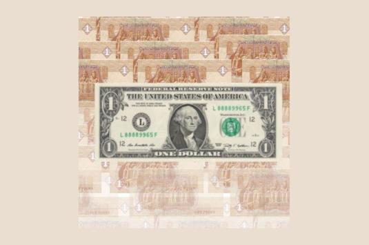 Photo shows multiple fading pictures of the Egyptian pound with a US dollar superimposed