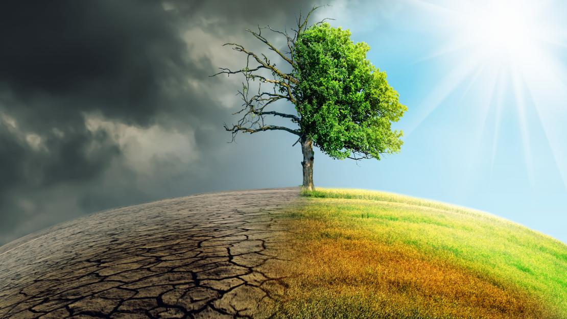 the horizon split into a green half and a damaged half, representing Global Warming and climate change