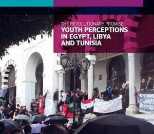 The Revolutionary Promise: Youth Perceptions in Egypt, Libya