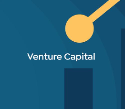 Venture Capital 