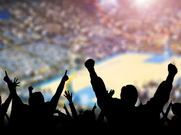 cheering fans in stadium